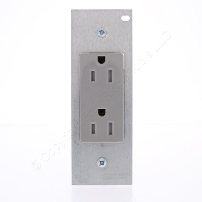 Hubbell SystemOne Gray Tamper Resistant Decorator Receptacle 15A PWFB10MPCR15GRY