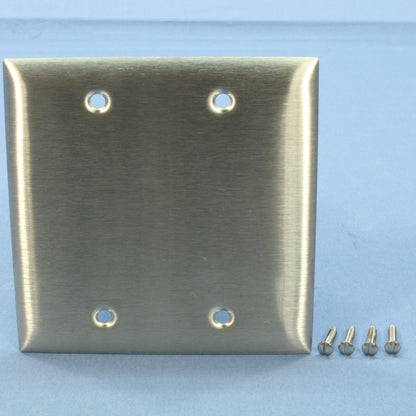 Hubbell Non-Magnetic Stainless Steel Blank Cover Wallplate Box Mount 2-Gang SS23