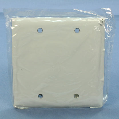 Hubbell Non-Magnetic Stainless Steel Blank Cover Wallplate Box Mount 2-Gang SS23
