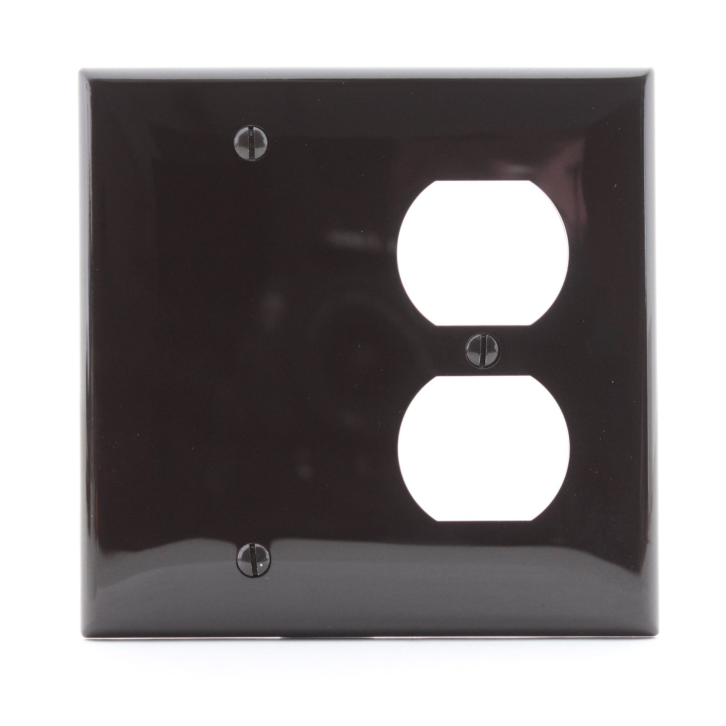 Leviton 0N138 Brown 2-Gang Duplex Receptacle Blank Cover Standard Wallplate