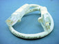 Leviton 47620-1W White Cat5 1ft Ethernet Cable Data Patch Cord Network Booted