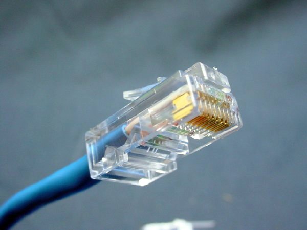 Leviton 52455-15B Blue Cat5 15ft Ethernet Cable Data Patch Cords Network 50-Pack