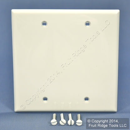Leviton 80725-W White 2-Gang Blank Unbreakable Nylon Wallplate Cover Box Mount