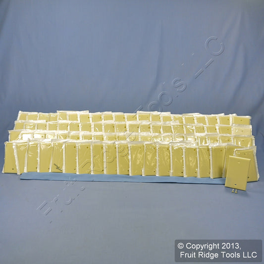 Leviton 86014 Ivory 1-Gang Box Mount Blank Cover Thermoset Wallplates 80-Pack