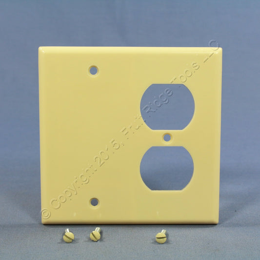 Leviton 86308 Ivory 2-Gang Blank Duplex Plastic Extra Deep Wallplate Box Mount