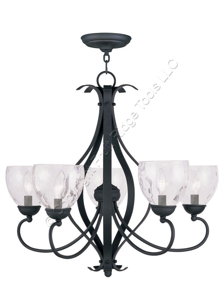Livex Lighting BrookSide Clear Water Glass Chandelier with 5 Lights 4805-04