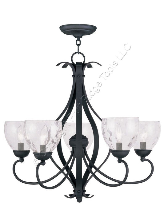 Livex Lighting BrookSide Clear Water Glass Chandelier with 5 Lights 4805-04