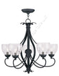 Livex Lighting BrookSide Clear Water Glass Chandelier with 5 Lights 4805-04