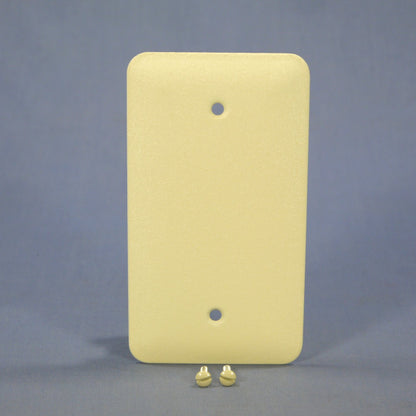 Mulberry Princess Ivory Wrinkle Painted Metal Blank Cover Wallplate Box Mount