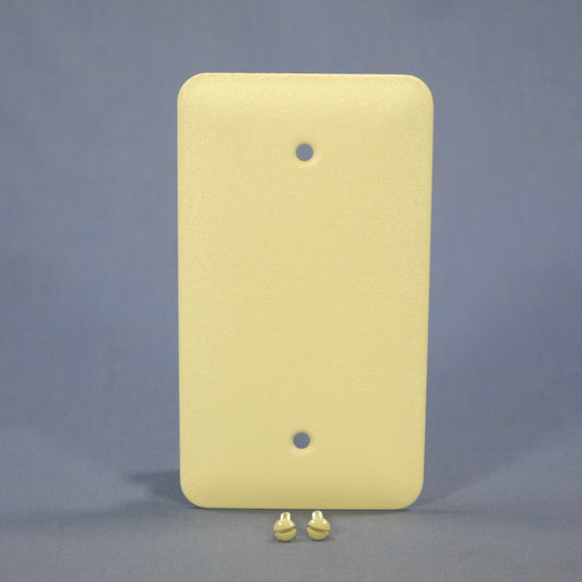 Mulberry Princess Ivory Wrinkle Painted Metal Blank Cover Wallplate Box Mount