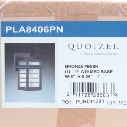 Quoizel 1-Light Bronze Finish 9" Outdoor Wall Pendant 100W A19 Medium Base